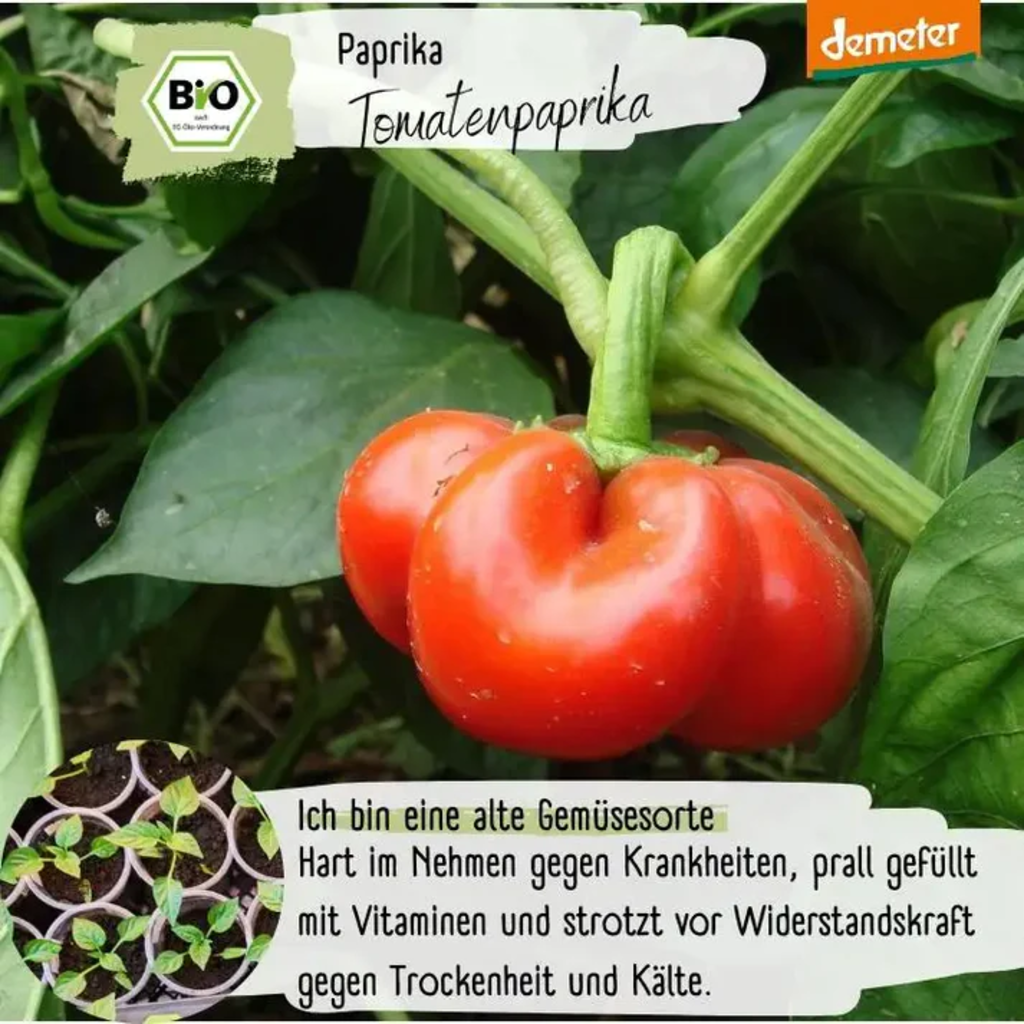 LOVEPLANTS Bio Tomatenpaprika - 1 Pkg