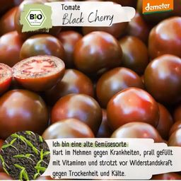 Loveplants Organic Black Cherry Tomato - 1 Pkg