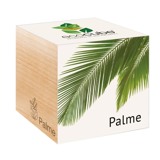 Feel Green ecocube "Exotics" - Palme