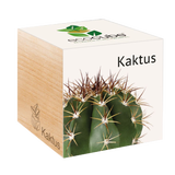 Feel Green ecocube "Exotics"