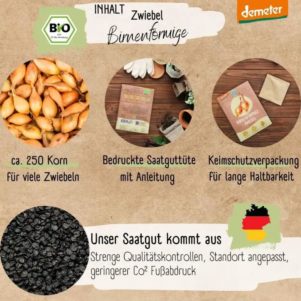 Loveplants Bio čebula “hruškasta” - 1 pkt.