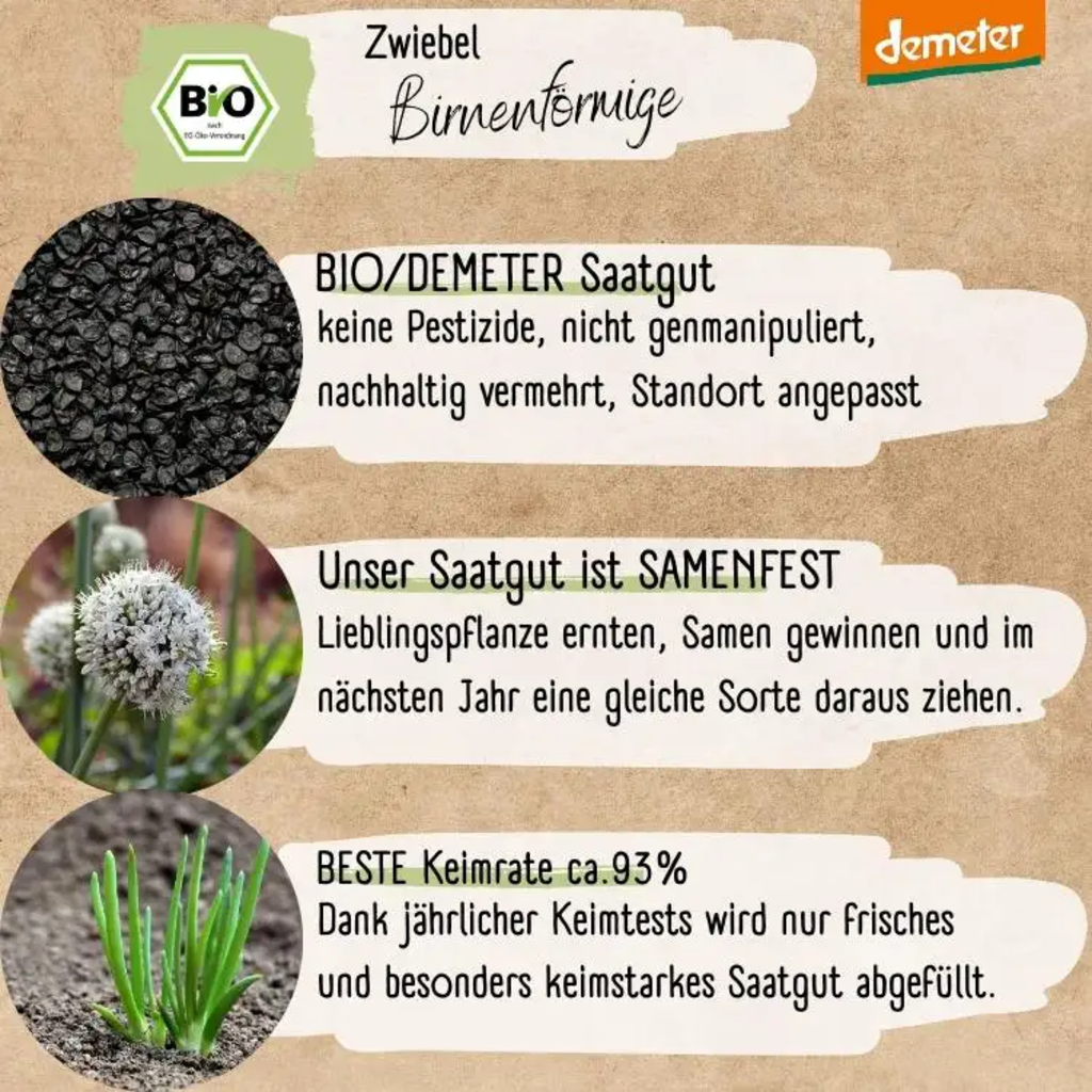 Loveplants Bio čebula “hruškasta” - 1 pkt.