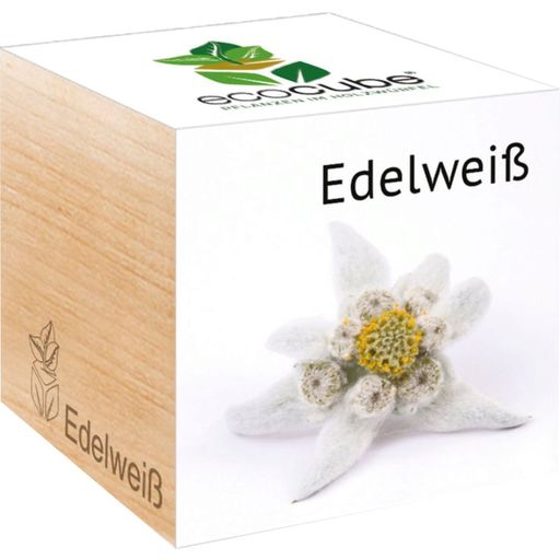 Feel Green ecocube "Edelweiß" - Original Edelweiß