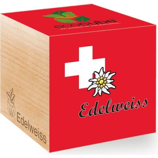 Feel Green ecocube "Edelweiß" - Swiss-Edelweiß
