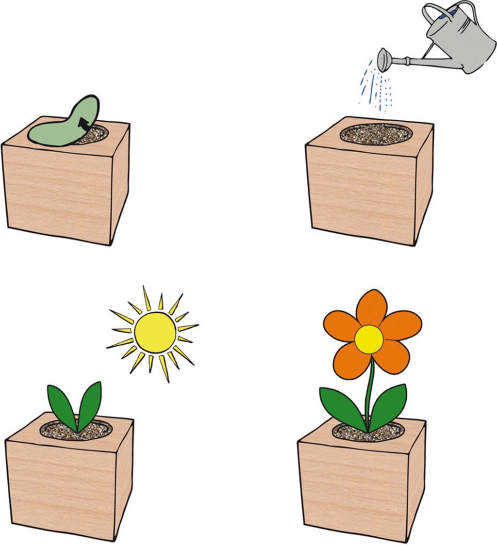Feel Green ecocube 