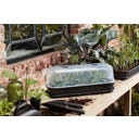 elho green basics cultivation set - nero - Misura L