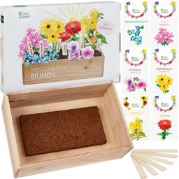 Own Grown Semillero en Caja - Flores de Colores - 1 set