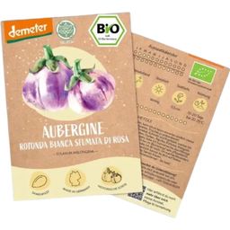 LOVEPLANTS Biologische Aubergine “Rotonda di Rosa” - 1 Verpakking