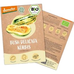 LOVEPLANTS Biologische Pompoen “Bush Delicata” - 1 Verpakking