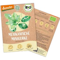 LOVEPLANTS Biologische Mexicaanse Minikomkommers - 1 Verpakking