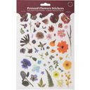 Botanopia Sticker Sheet - Pressed Flowers - Rainbow