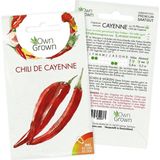 Own Grown Graines de Piment "Cayenne