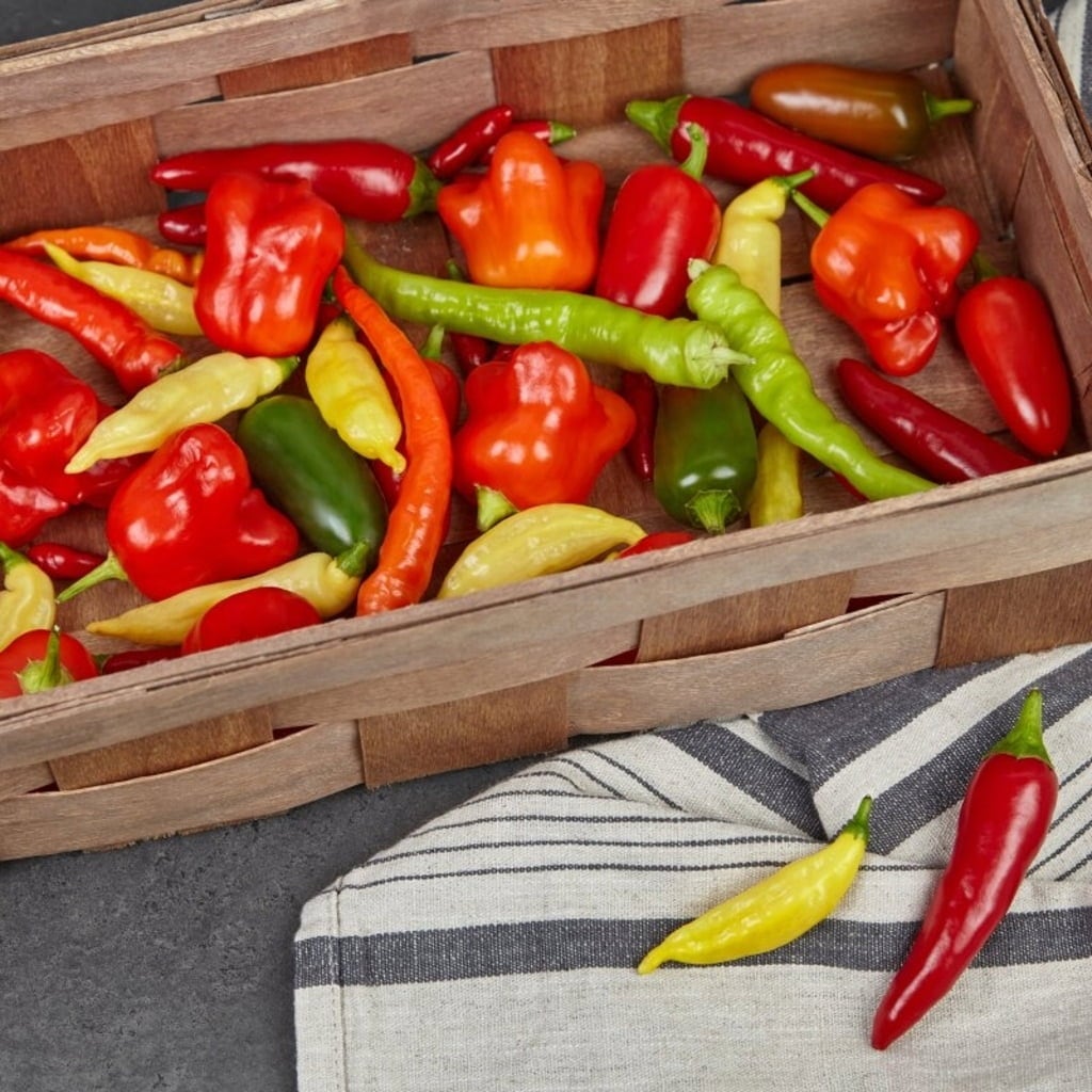 Own Grown Graines de Piment 