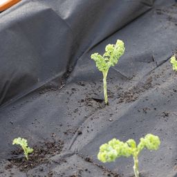 Own Grown Erdanker für Gartenvlies & Co - 1 Pkg