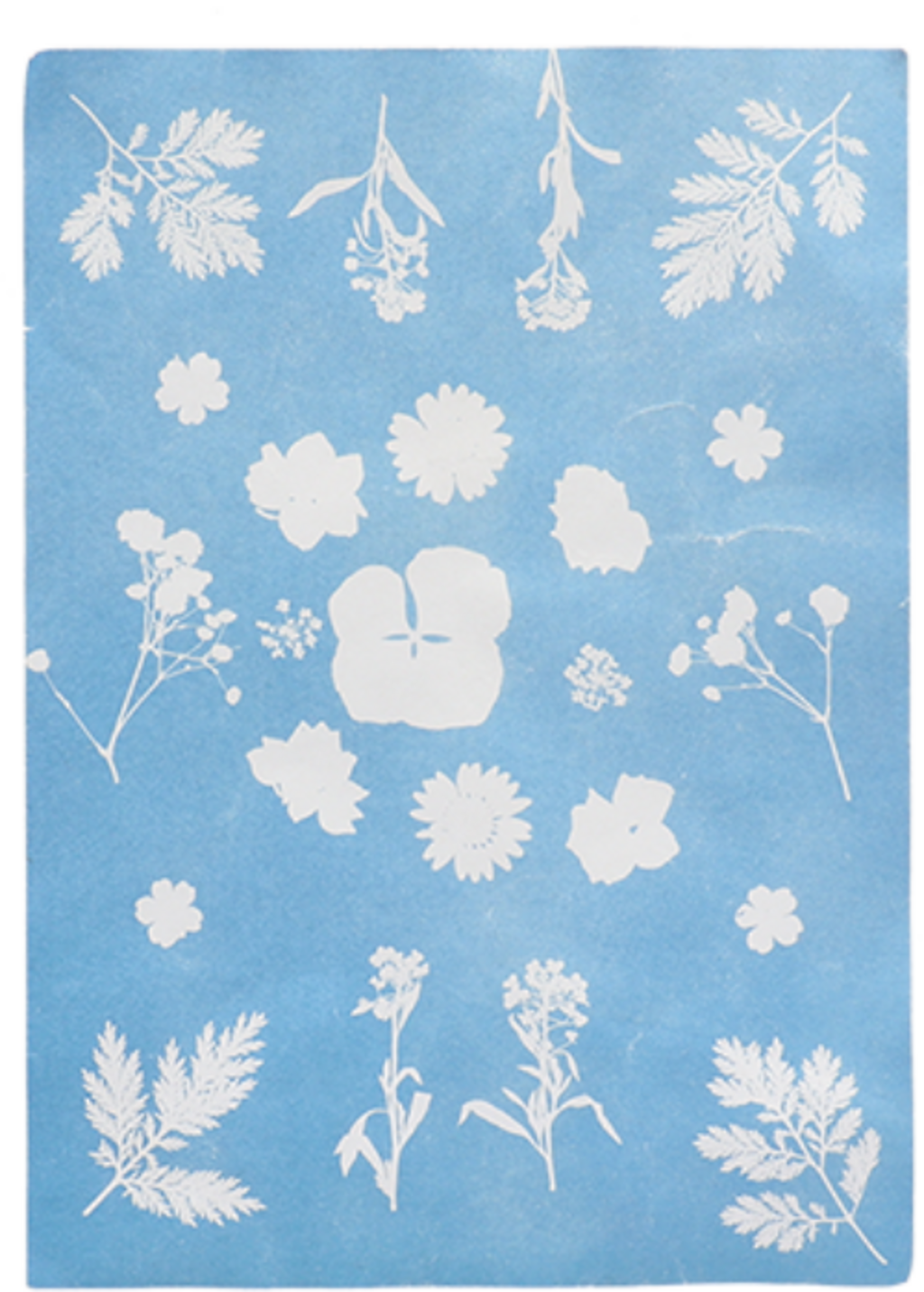 Esschert Design Solar Photo Paper