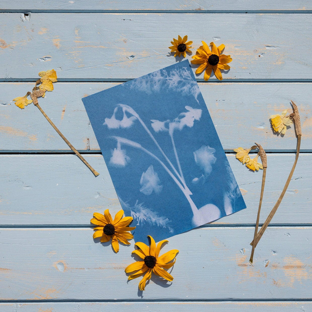 Esschert Design Solfotopapper - A4 set/6