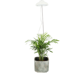 Esschert Design Lámpara de Planta - 1 pieza