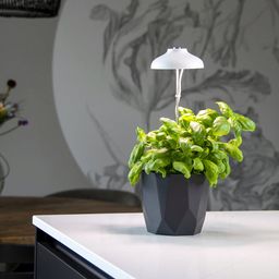 Esschert Design Növénylámpa - 1 db