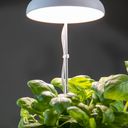 Esschert Design Lampa do roślin - 1 szt.