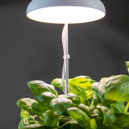 Esschert Design Plantenlamp - 1 stuk