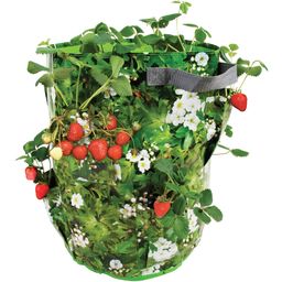 Esschert Design Strawberry / Herb Planter