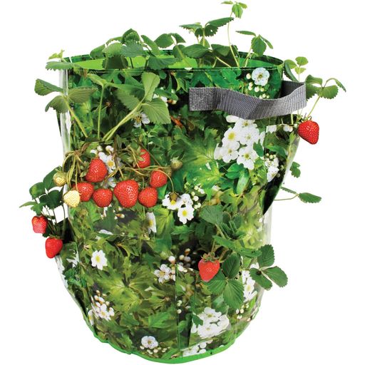 Esschert Design Strawberry / Herb Planter