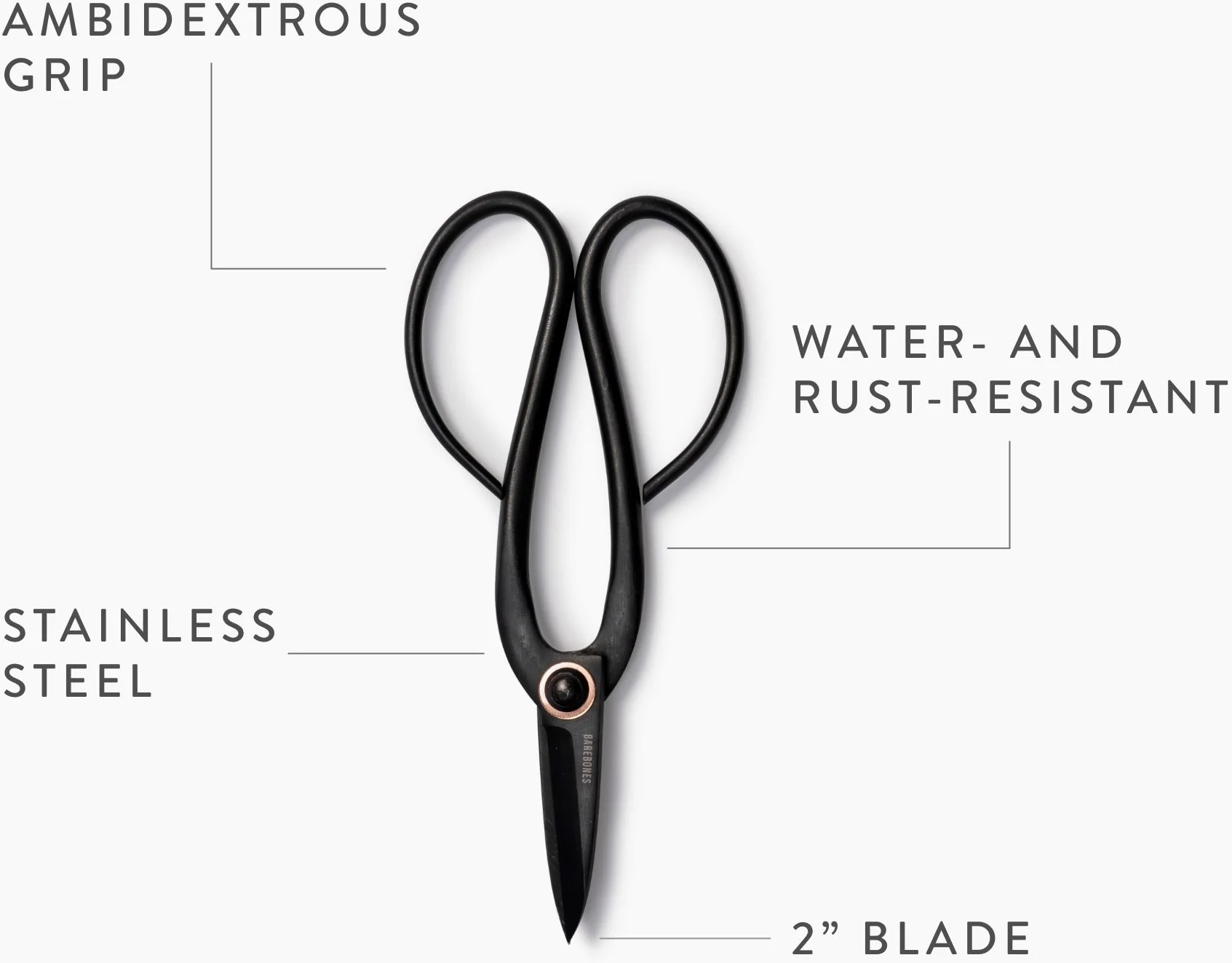 Barebones Ciseaux de Taille