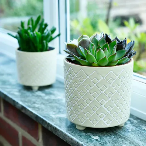 Burgon & Ball Blumentopf Grau – Ideal Für Mini-Pflanzen & Sukkulenten, Glasierte Oberfläche