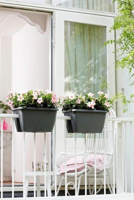 elho barcelona flower bridge, 40 cm Bloomling Italia