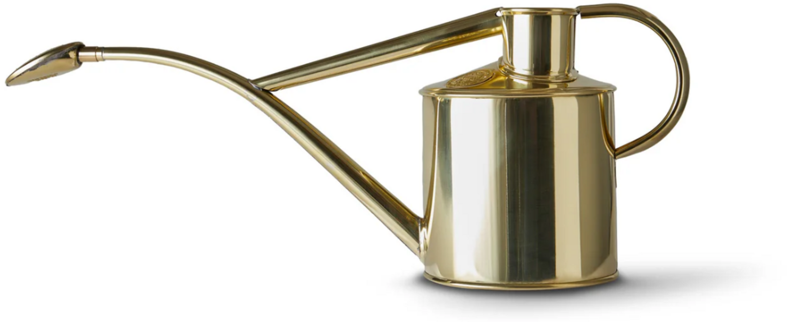 Mini Watering Can, 17oz/500ml Stainless Steel Long Spout