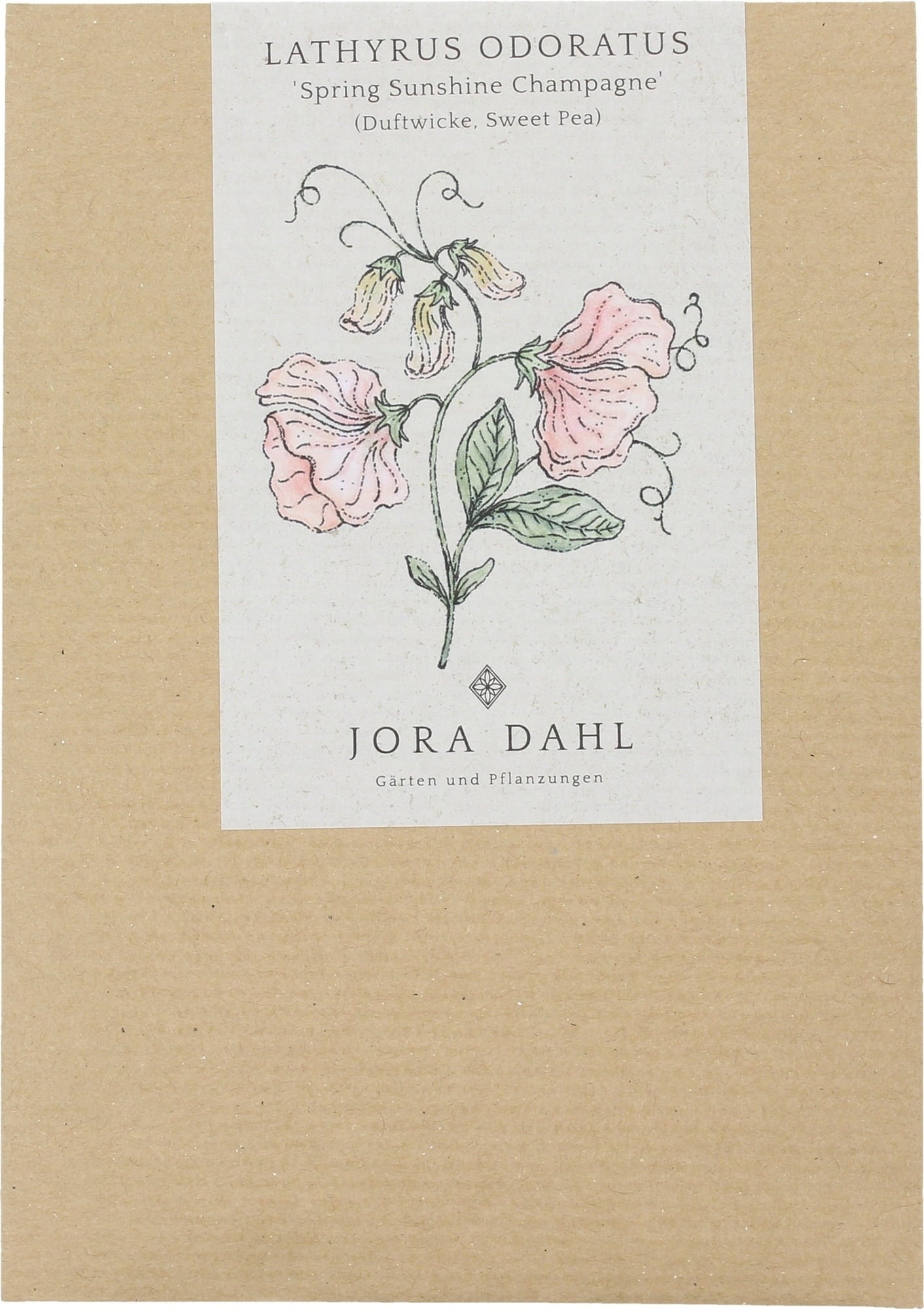 Jora Dahl Welriekende Lathyrus Spring Sunshine Champagne Lathyrus Jora Dahl Welriekende Lathyrus Spring Sunshine Champagne Lathyrus