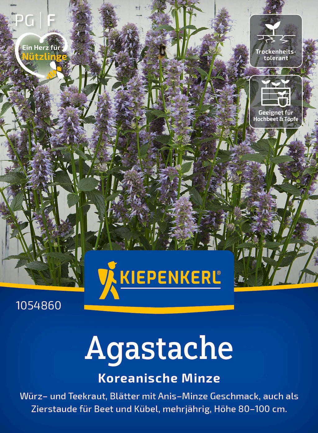 VibeX VXI-2 - Korean Mint Agastache Rugosa - (450 Seeds) Seed Price In