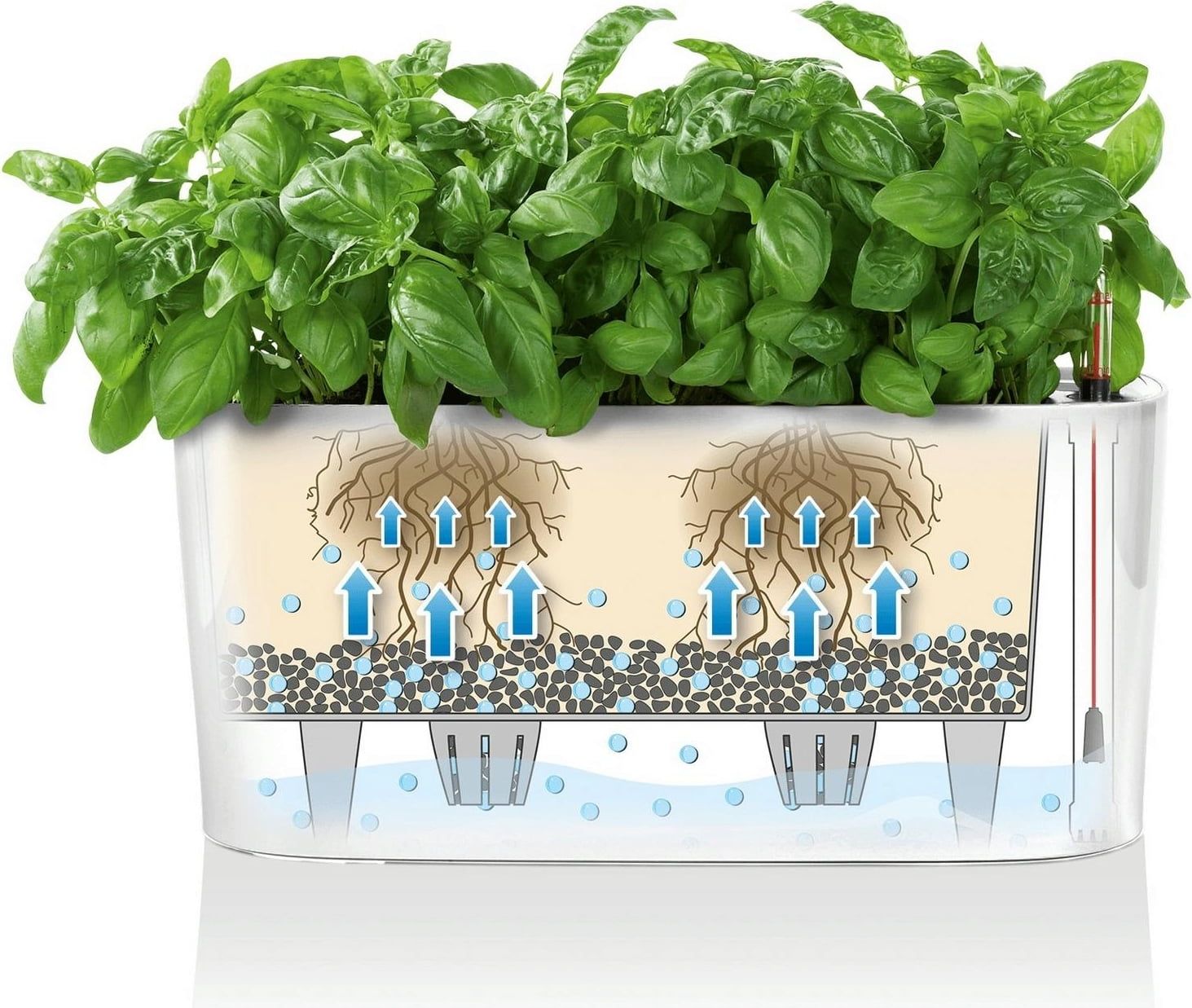 LECHUZA Self-Watering Planters - USA