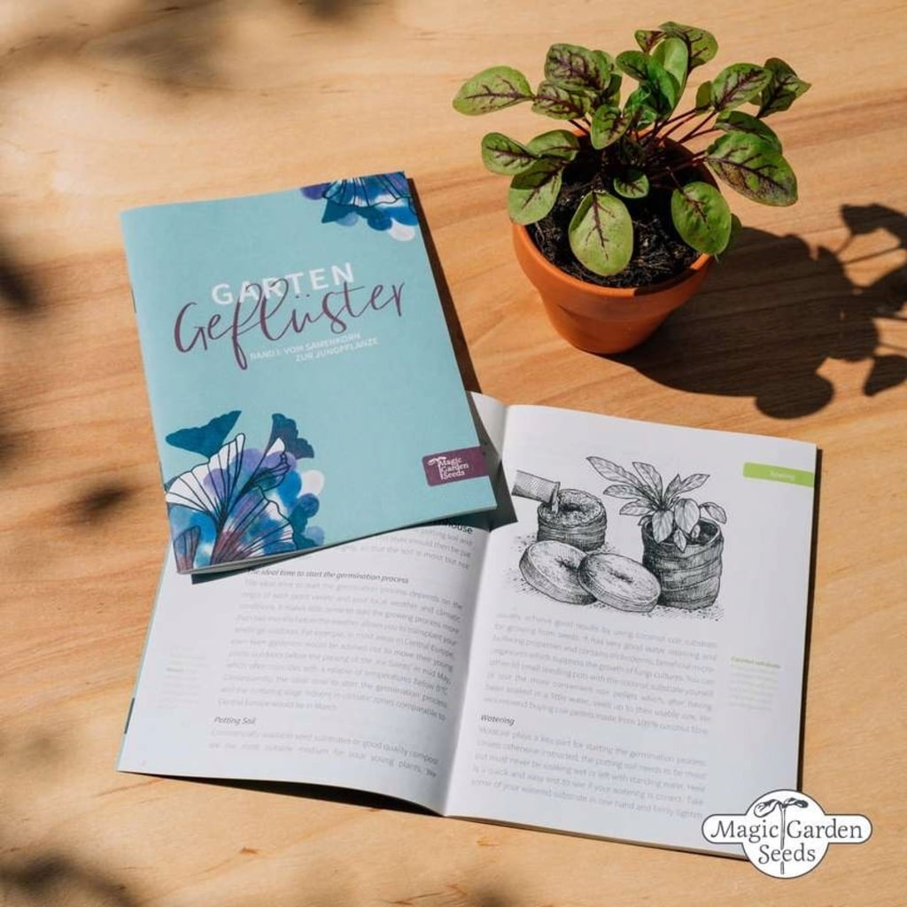 Magic Garden Seeds Set 6 Biglietti Di Auguri Con Illustrazioni Botaniche – Cartoline DIN A6, Disegnate A Mano, Carta Riciclata, Vegane