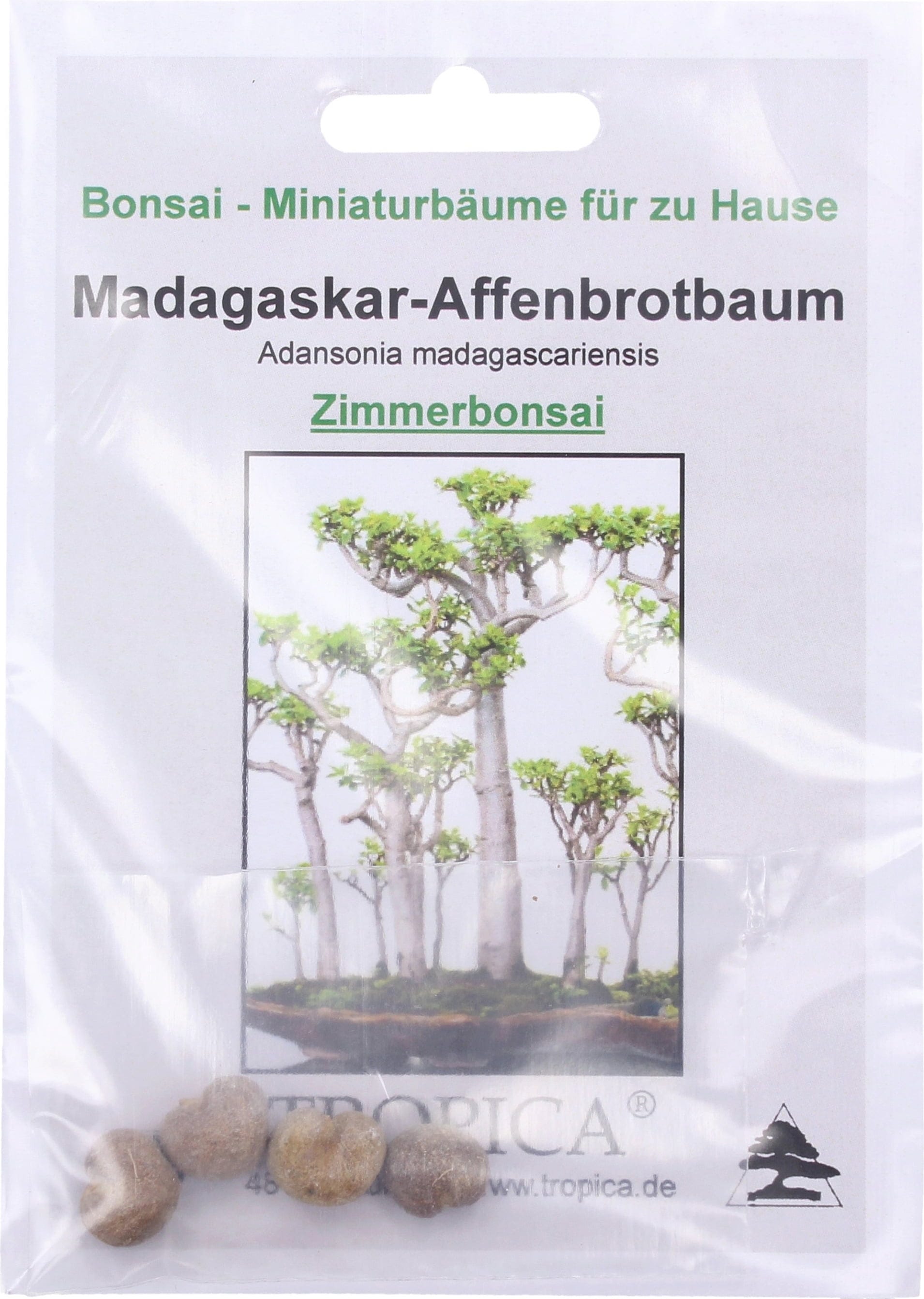 TROPICA Bonsai "Madagaskar-Affenbrotbaum, 4 Korn - Bloomling Schweiz