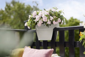 Elho Vibia Campana Flower Bridge 40 - Planteur Pour Balcon & Extérieur - 39.0 X H 22.0 Cm - Bleu/Bleu Vintage